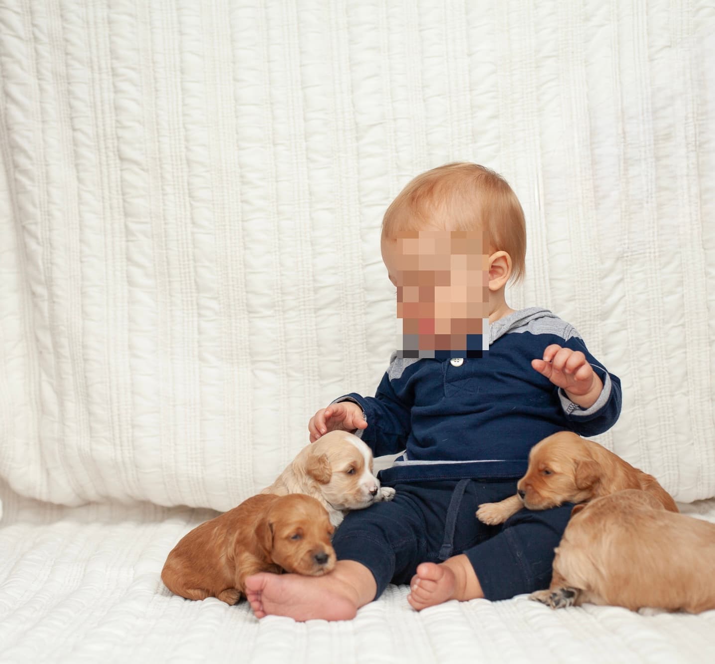 Baby with the puppies