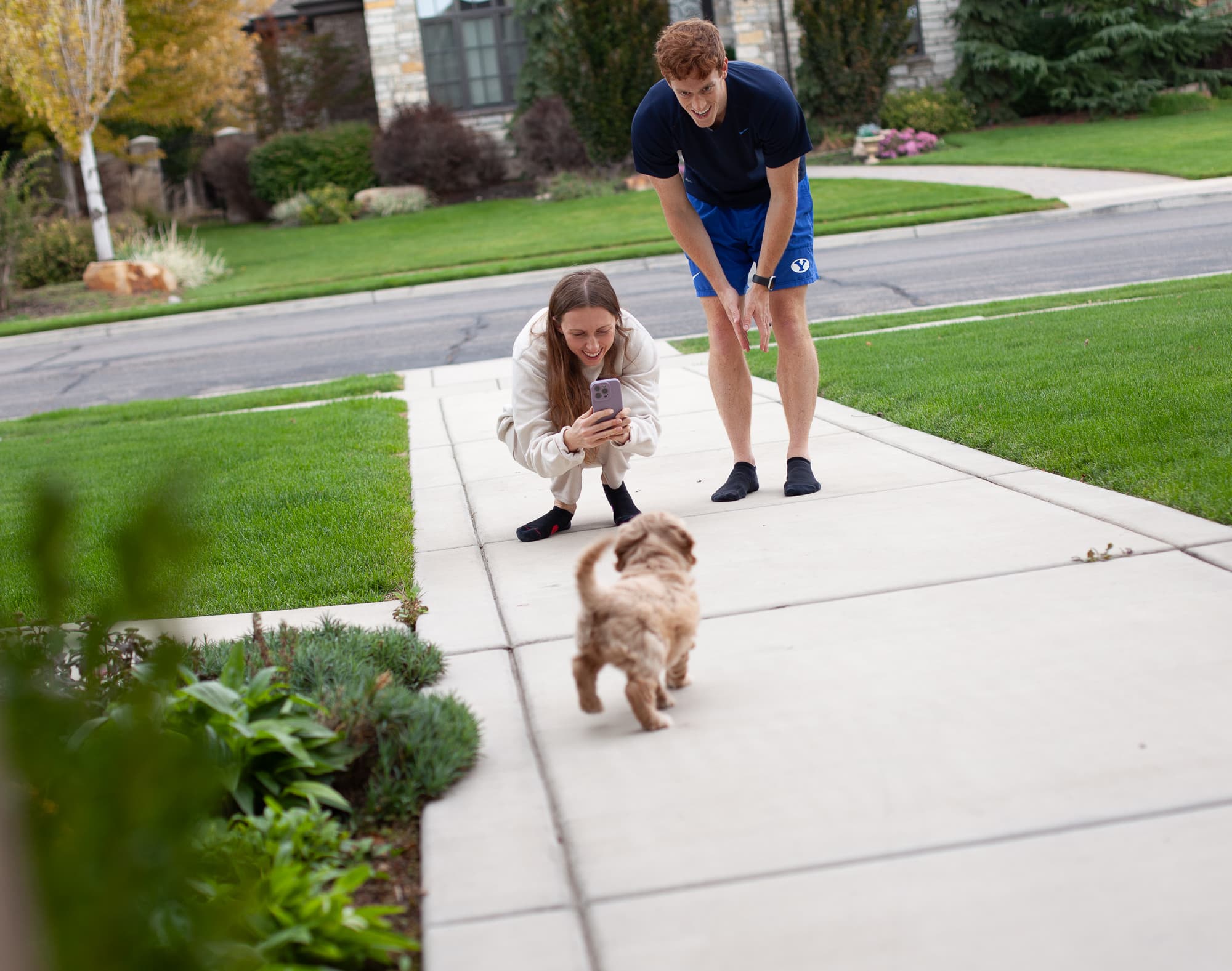 Snickers walking on the sidewalk